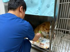 -康成宠物医院24H·CT·核磁共振