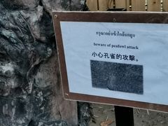-清迈夜间动物园