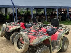 -长沙黑麋峰国家森林公园