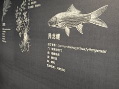 -中国湿地博物馆