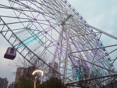 -弘阳·未来世界(弘阳广场店)
