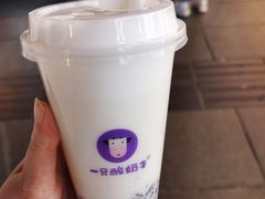 -一只酸奶牛(八一路店)