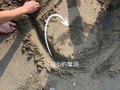 -西澳岛