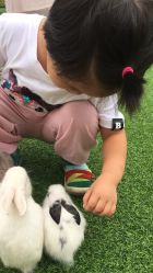 -萌宠亲子动物乐园(槐房万达店)