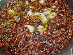 -雲蜀龙阁·金牌水煮鱼(方庄店)