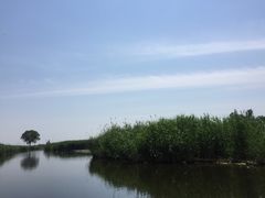 -白洋淀景区