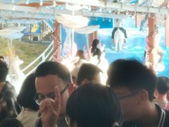 -盈香心动乐园
