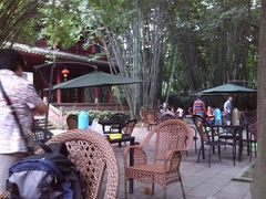 android_upload_pic-望江楼公园