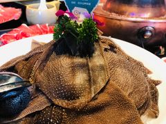 鲜脆毛肚-阳坊胜利涮羊肉(阳坊老店)