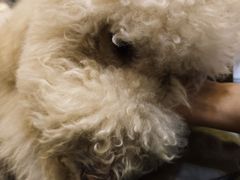 -MOJO密室逃脱(中街旗舰店)