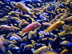 -成都浩海立方海洋公园