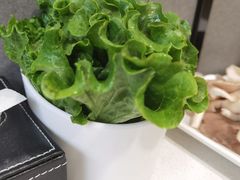 -古乐牛香·鲜牛肉牛杂火锅(吴江三里桥运东商业广场店)