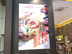 -小杨生煎(深圳岗厦北店)