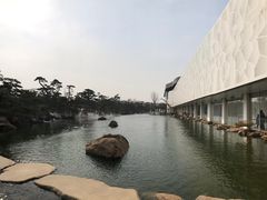 -罗红摄影艺术馆