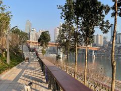 -重庆市江北嘴中央商务区中央公园