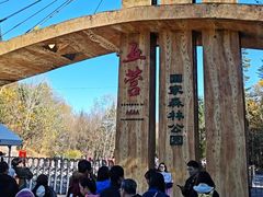 -五营红松林海景区