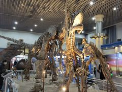 -国家自然博物馆