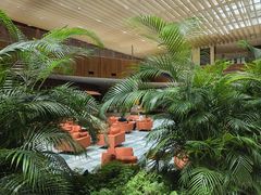 -北京望京凯悦酒店The Lounge大堂酒廊
