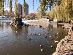 -团结湖公园