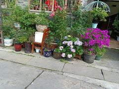 -王万妈卤猪脚(青岩交通路)