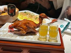 -大鸽饭(动物园店)