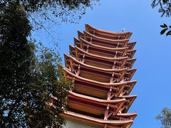 -缙云山景区