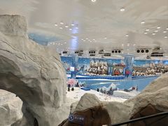 -长沙湘江欢乐雪域