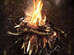 -东怡大酒店(上海科技馆店)