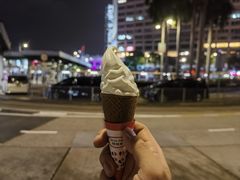 -富豪雪糕车流动点(尖沙咀店)