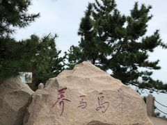-养马岛旅游度假区