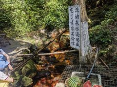 -莫干山风景区