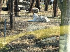 -秦皇岛野生动物园