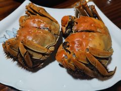 -呼吸森林·生态农庄农家乐私房菜