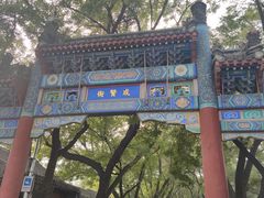 -北京国子监胡同
