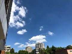 -小龙大肉面馆