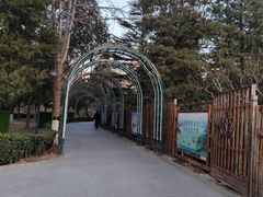 -黄村公园