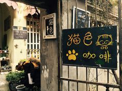 -猫色咖啡·猫咖