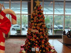 -上海浦东嘉里大酒店