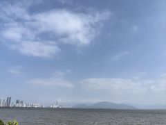 -深圳湾公园(南山区)