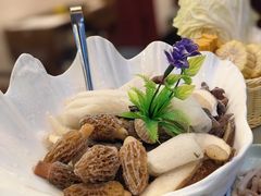 -名善山珍·野生菌汤锅(文殊院店)
