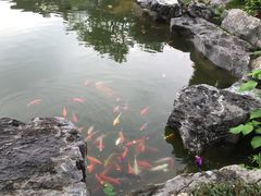 环境-谷丰健康凤贤居酒家