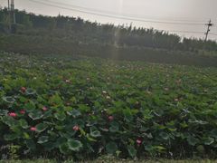 -北京政法职业学院(大兴校区)