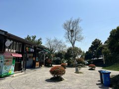 -桐乡凤凰湖