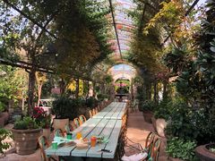 -The Grounds of Alexandria