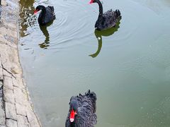 -芭东小镇温泉