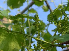-美家乐农庄·露营·团建(大治路店)