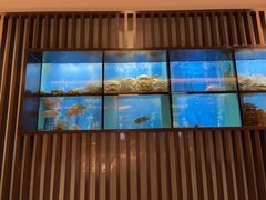 -珍宝海鲜JUMBO Seafood(尚嘉店)