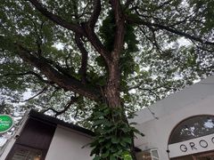 -Cheevit Cheeva(Sirimangkalajarn)