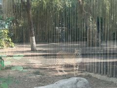 -郑州市动物园