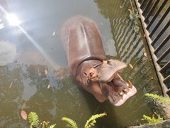 -海南热带野生动植物园